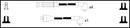 Lucas Ignition Lead Set - LUC7316