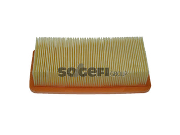 Fram Air Filter - CA10088