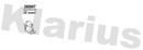 Klarius 390907 - Catalyst & Dpf Combined  - Fits Audi A3 2.0 TDi
