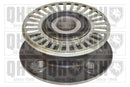 QH Wheel Bearing Kit & Wheel Hub & ABS ring - QWB953