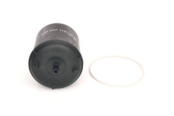 Bosch Oil Filter - F026407119