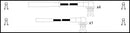 Lucas Ignition Lead Set - LUC4102