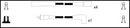 Intermotor Ignition Lead Set - 83064