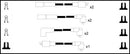Intermotor Ignition Lead Set - 76134