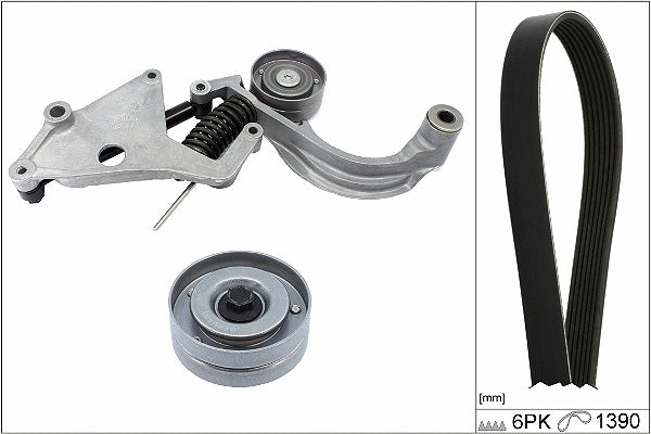 INA V-Ribbed Belt Set - Part No - 529045710