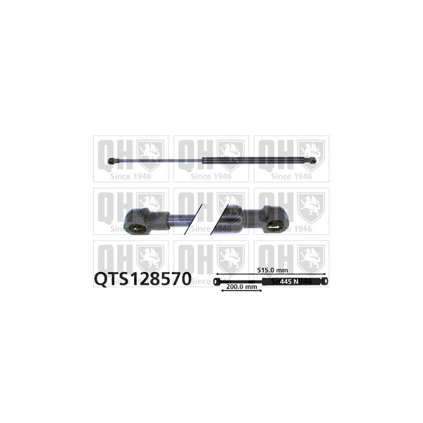 QH QTS128570 Gas Spring