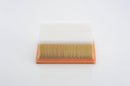 Bosch Air Filter - 1987429182