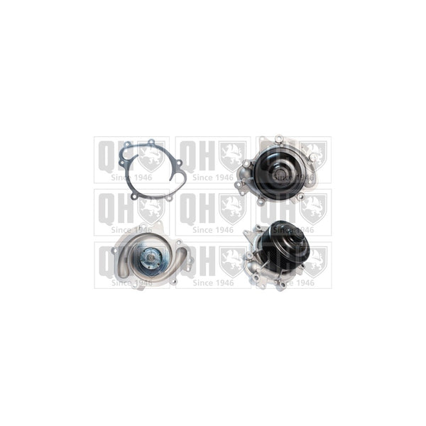 QH QCP3659 Water Pump
