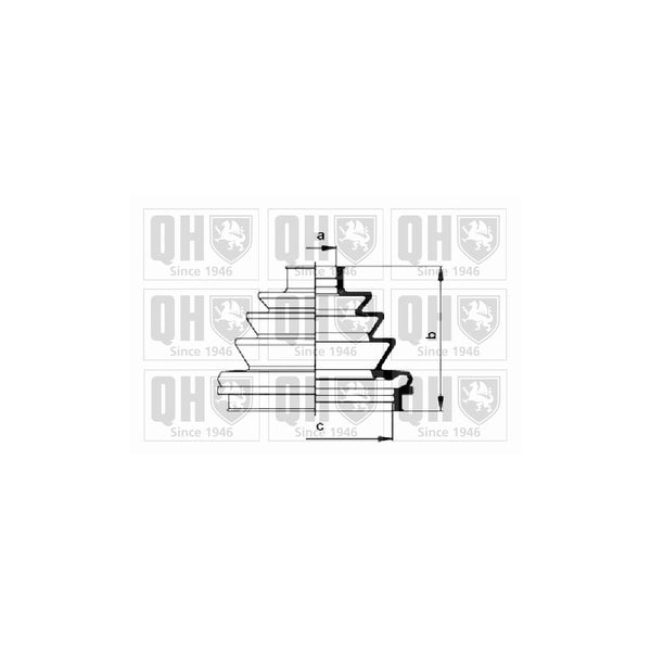 QH QJB215 CV Boot
