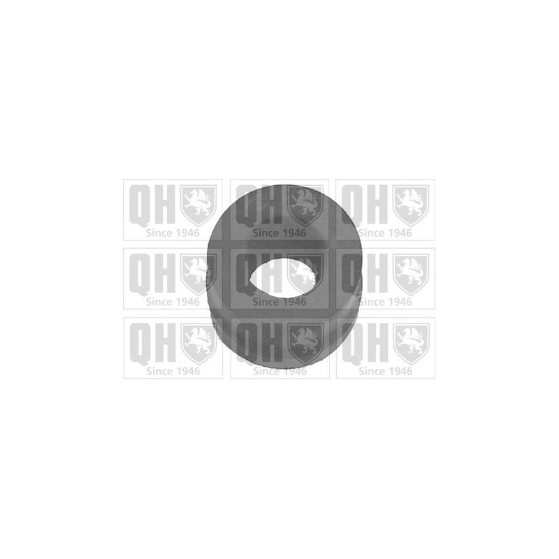 QH Y889 Suspension Arm Bush - Front Lower LH & RH