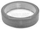 Borg & Beck Air Filter - BFA2373