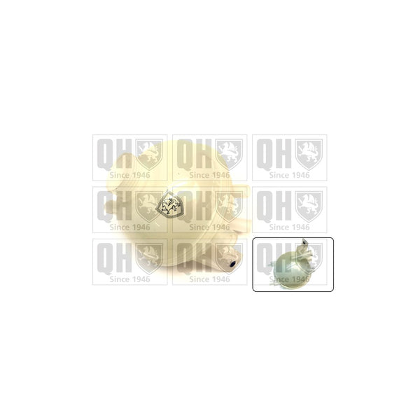 QH QVE569 Expansion Tank