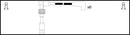 HighVolt Ignition Lead Set - OEF629