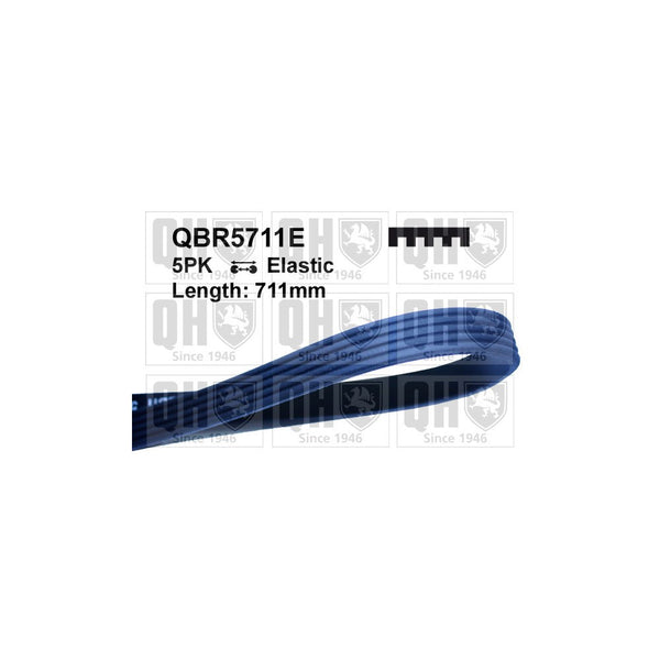 QH QBR5711E Drive Belt