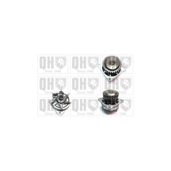QH QCP3689 Water Pump