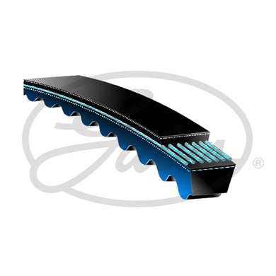 Gates V Belt - SPZ560