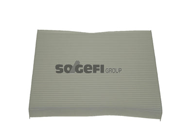 Fram Cabin / Pollen Filter - CF10420
