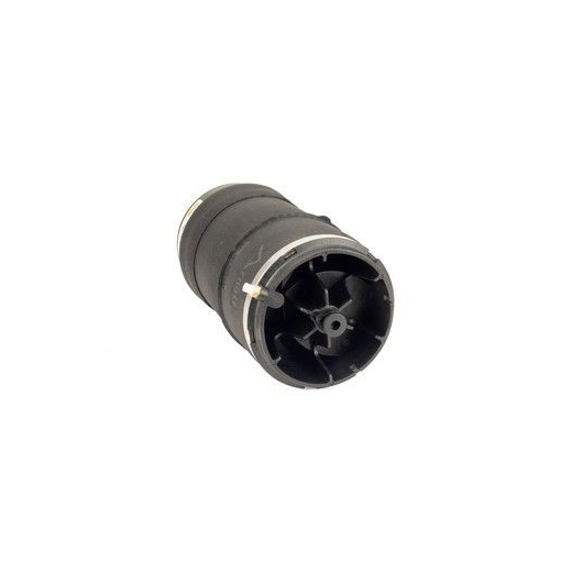 Arnott - Air Spring (Rear)