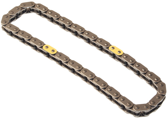 INA Timing Chain - Part No - 553033910