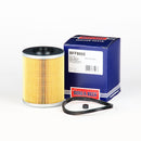 Borg & Beck Fuel Filter - BFF8005