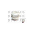 QH QVE555 Expansion Tank