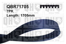 QH V-Ribbed Drive Belt - QBR71705