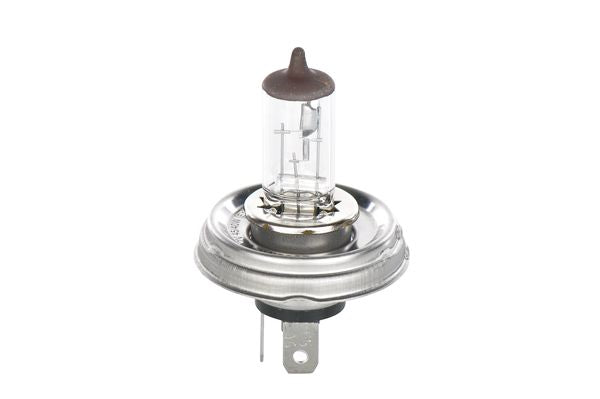 Bosch Pure/Lt R2H 12V 45/40W P45T Part No - 1987302021