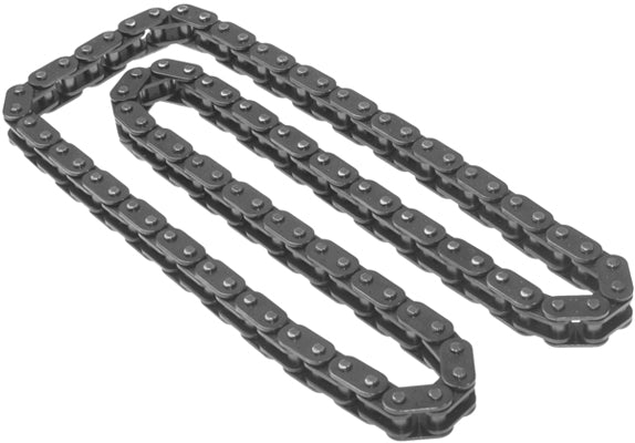 INA Chain Oil Pump Drive Part No - 553018110