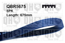 QH V-Ribbed Drive Belt - QBR5675