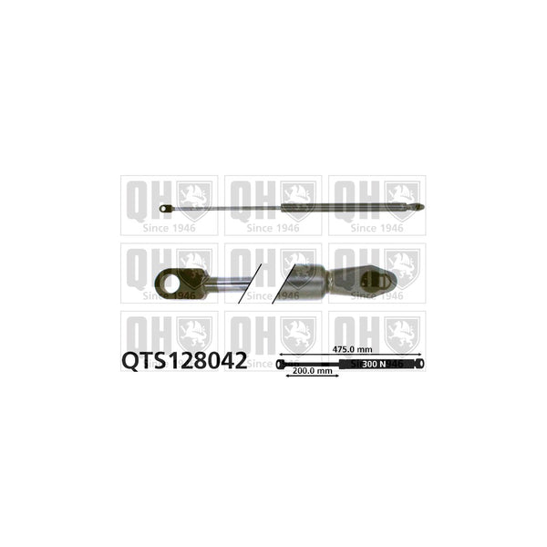 QH QTS128042 Gas Spring