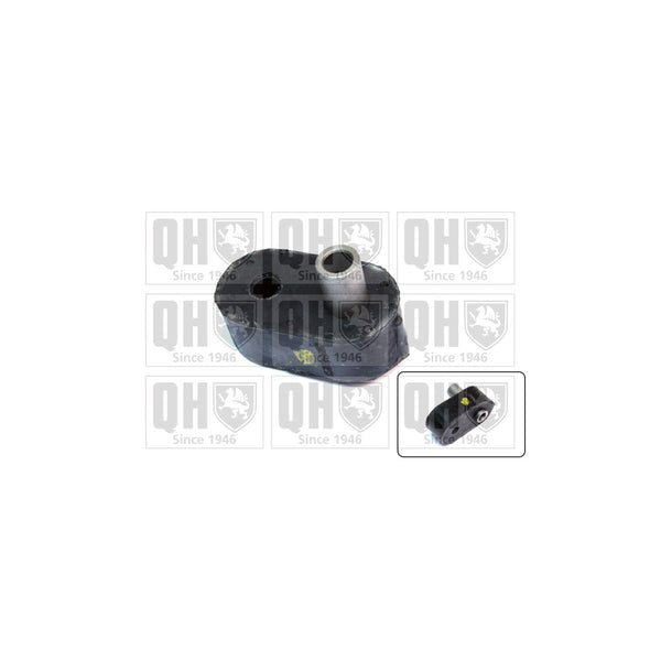 QH EMB2036 Stabiliser Bar Bush - Front LH & RH (Outer)
