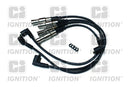 Ignition Ignition Lead Set Resistive - XC1355