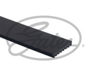 Gates Micro-V Multi-Ribbed Belt - 8PK942EST