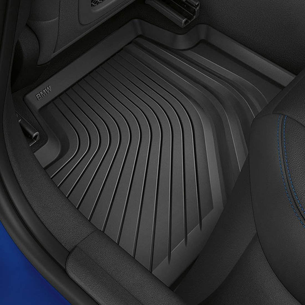 Genuine BMW Rear 3 Series Floor Mats - 51.47.2.461.169