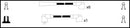 Lemark Ignition Lead Set - HOES792