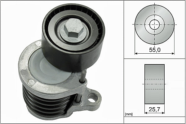 INA Tensioner Lever - V-Ribbed Belt - Part No - 534059110