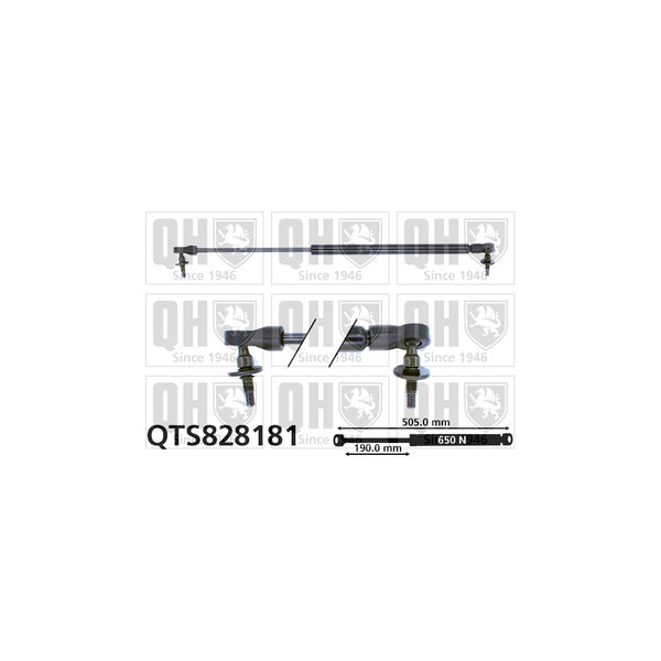 QH QTS828181 Gas Spring