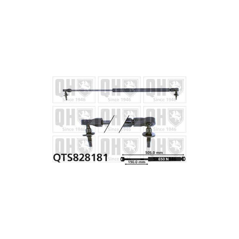 QH QTS828181 Gas Spring