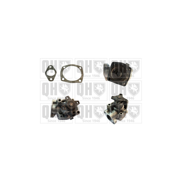 QH QCP3118 Water Pump