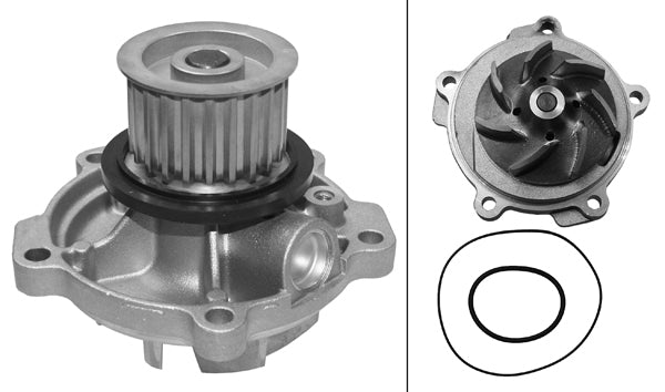 INA Water Pump - Part No - 538068310