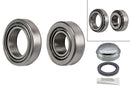 FAG Wheel Bearing Kit - 713668070