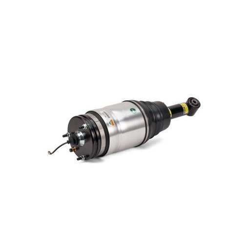 Arnott - Air Strut (Rear)