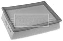 Borg & Beck Air Filter - BFA2229