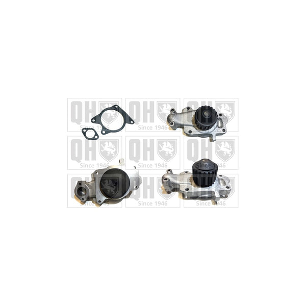 QH QCP2654 Water Pump