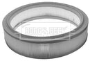 Borg & Beck Air Filter - BFA2042