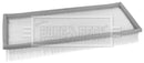 Borg & Beck Air Filter - BFA2451