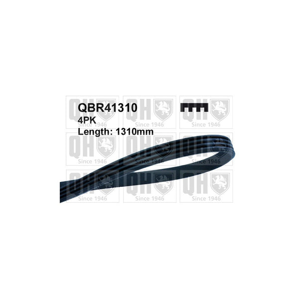 QH QBR41390 MULTI-RIBBED BELT