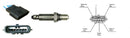 Intermotor Oxygen Sensor - 65156