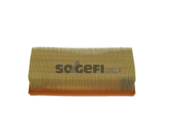 Fram Air Filter - CA10599