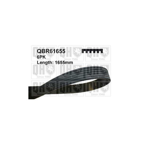 QH QBR61655 Multi-ribbed belt